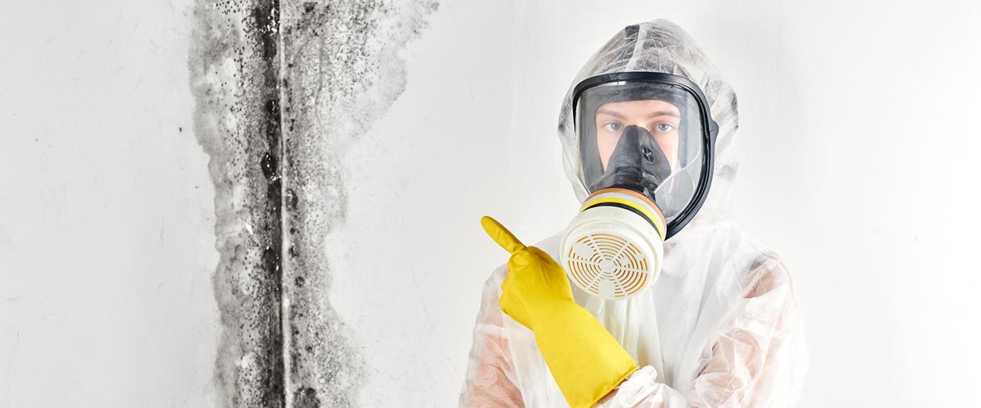 Mold Removal in Toms River, NJ: A Crucial Step Before Maid Service
