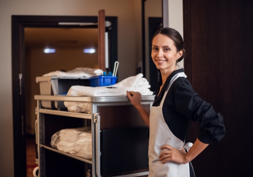 Behind The Scenes: House Cleaners Shaping Amsterdam's Maid Service Industry